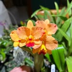 Dennis P Steinbeck - @dennis.steinbeck - Instagram