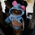 Dennis Stein - @dennis.stein777 - Instagram