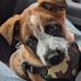 Dennis Stein - Facebook