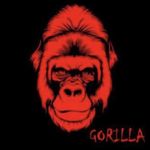 Dennis Stein - @mb_coding_gorilla - Instagram
