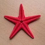 Dennis Stern - @shamandarkness123 - Instagram