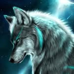Dennis Stöver - @dennis_shadow1 - Instagram