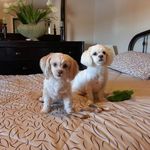 Maureen Rice-Stover - @stover_dennis - Instagram