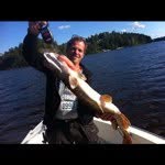 @dennisstrand - Instagram