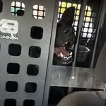 Dennis Stratton - @dennis_stratton - Instagram