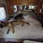 Dennis Sweet - Facebook