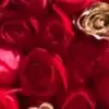 denisterani - @denisterani - TikTok