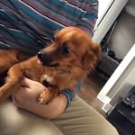 Dennis Tello - @dennistello24 - Instagram