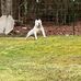 Dennis Terry - Facebook