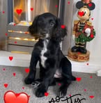 Dennis Thackeray - Facebook