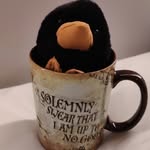 @dennis.the.niffler - Instagram