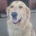 Dennis Thornton - Facebook