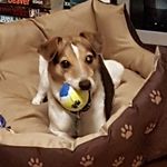 Dennis Thornton - @dennis_in_bremerhaven_ - Instagram