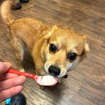 Dennis Thornton - @dennis.thornton.58 - Instagram