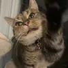 DennisRamRam - @dennisramthun - TikTok