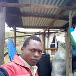 Dennis Thuo - @dennis.thuo.1865 - Instagram