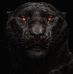 Dennis Thoresen - Facebook