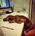 Dennis Tolar - Facebook