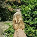 Dennis Ullmann - @dennisullmann - Instagram