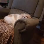Dennis Vann - @dennisvann122024 - Instagram