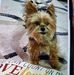 Dennis Waller - Facebook
