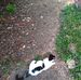 Dennis Warfield - Facebook