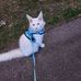 Dennis Wesson - Facebook