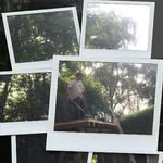 Dennis Weiland - @wede7692 - Instagram