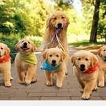 Dennis - @dennis00wheat - Instagram