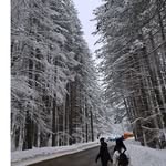 Dennis Wheaton - @versmeelgon - Instagram