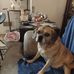 Dennis Wilcox - Facebook