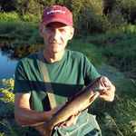 Dennis Wilcox - @wilcoxdennis - Instagram