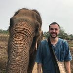 Dennis Wilhelm - @d.eenniz - Instagram