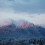Dennis Windsor - @dwindsor_ca_ - Instagram