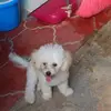 Dennis Winter - @dennis.winter3 - TikTok