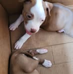 Dennis Winters - Facebook