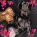 Dennis Wirth - Facebook