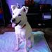Dennis Wirth - Facebook