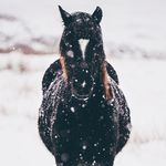 Dennis Withers - @withersdennis - Instagram