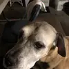 dennisworkman373 - @dennisworkman373 - TikTok