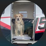 Dennis Yates - @den.nisyates58511 - Instagram