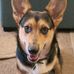 Dennison Smith - Facebook