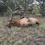 Denny Campbell - @blktailfever_denny - Instagram