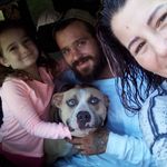 Denny Cole - @scarsnbarscreeksidekeenels - Instagram