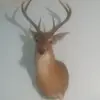 Denny Davis - @denny.davis3 - TikTok