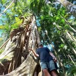 Denny Gee - @dogwood1972 - Instagram