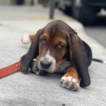 Dennis Glenn - @dennythemini - Instagram