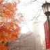Denny Hall - Facebook
