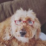 denny hall - @denny.hall1 - Instagram