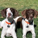 DENNY & HANK - @denny.hank.gsps - Instagram